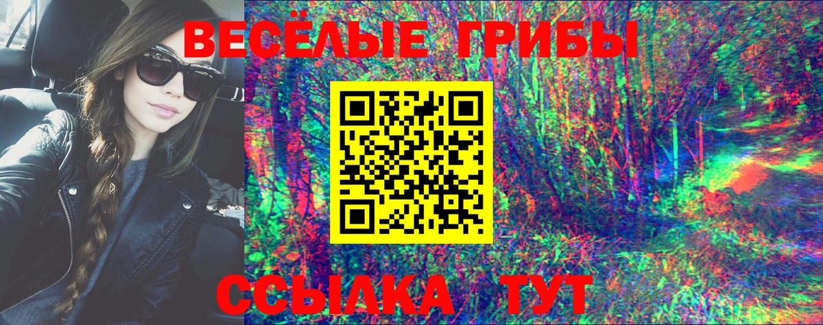 Псилоцибиновые грибы Psilocybe  Вход с VPN  Осинники 