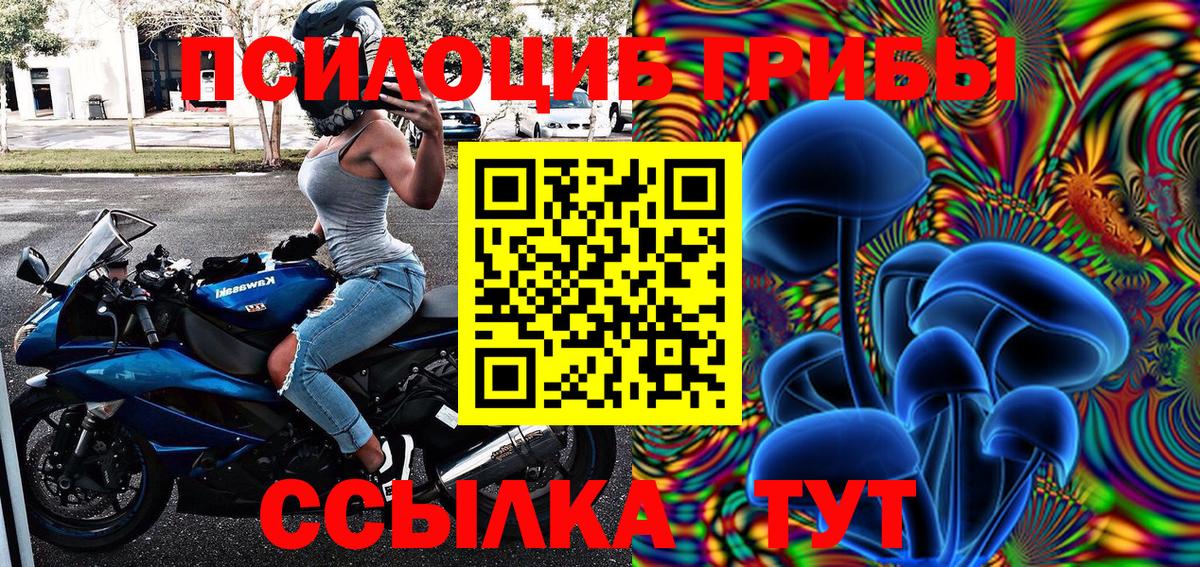 Псилоцибиновые грибы MAGIC MUSHROOMS Осинники